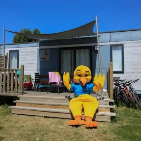 4 Etoiles - Piscine - Eeebgi 滨海拉福特